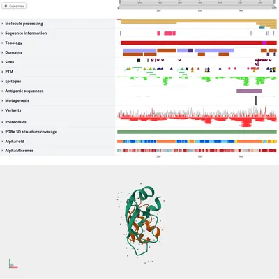 The ProtVista viewer showing many rows of protein annotation — domains, sites, modifications, variants and structure coverage — drawn as coloured tracks along the sequence of P05067, with a three-dimensional ribbon model of the protein beneath them.