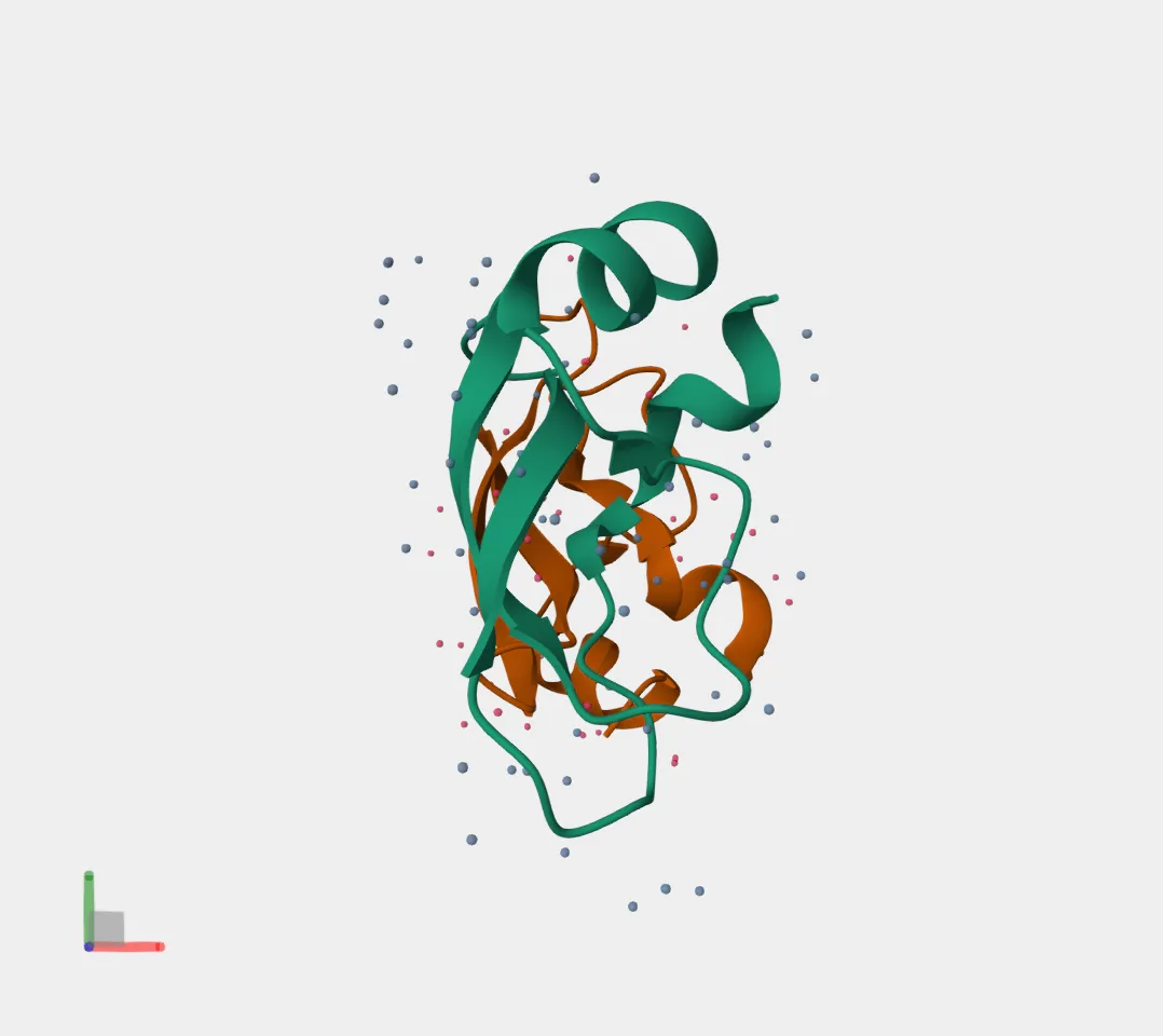 A three-dimensional ribbon model of a fragment of amyloid precursor protein, its two chains drawn in green and orange, with ordered water molecules shown as small scattered spheres.